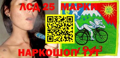 гидра Рязань