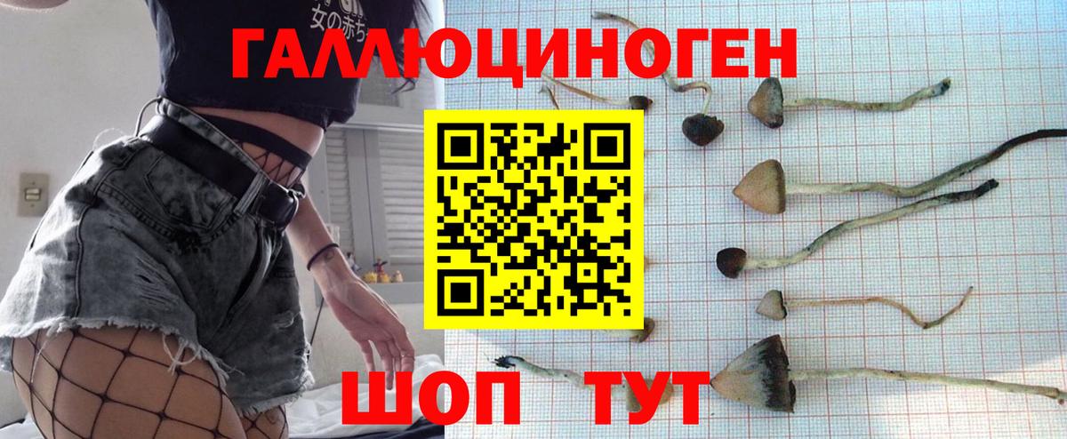 Галлюциногенные грибы GOLDEN TEACHER  Вход с VPN  Углич 